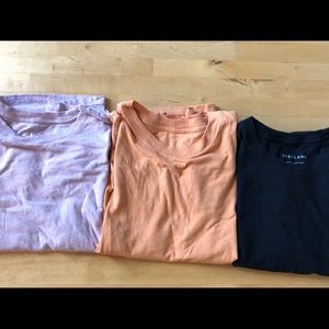 Everlane crop ReCotton tee size L multiple colors